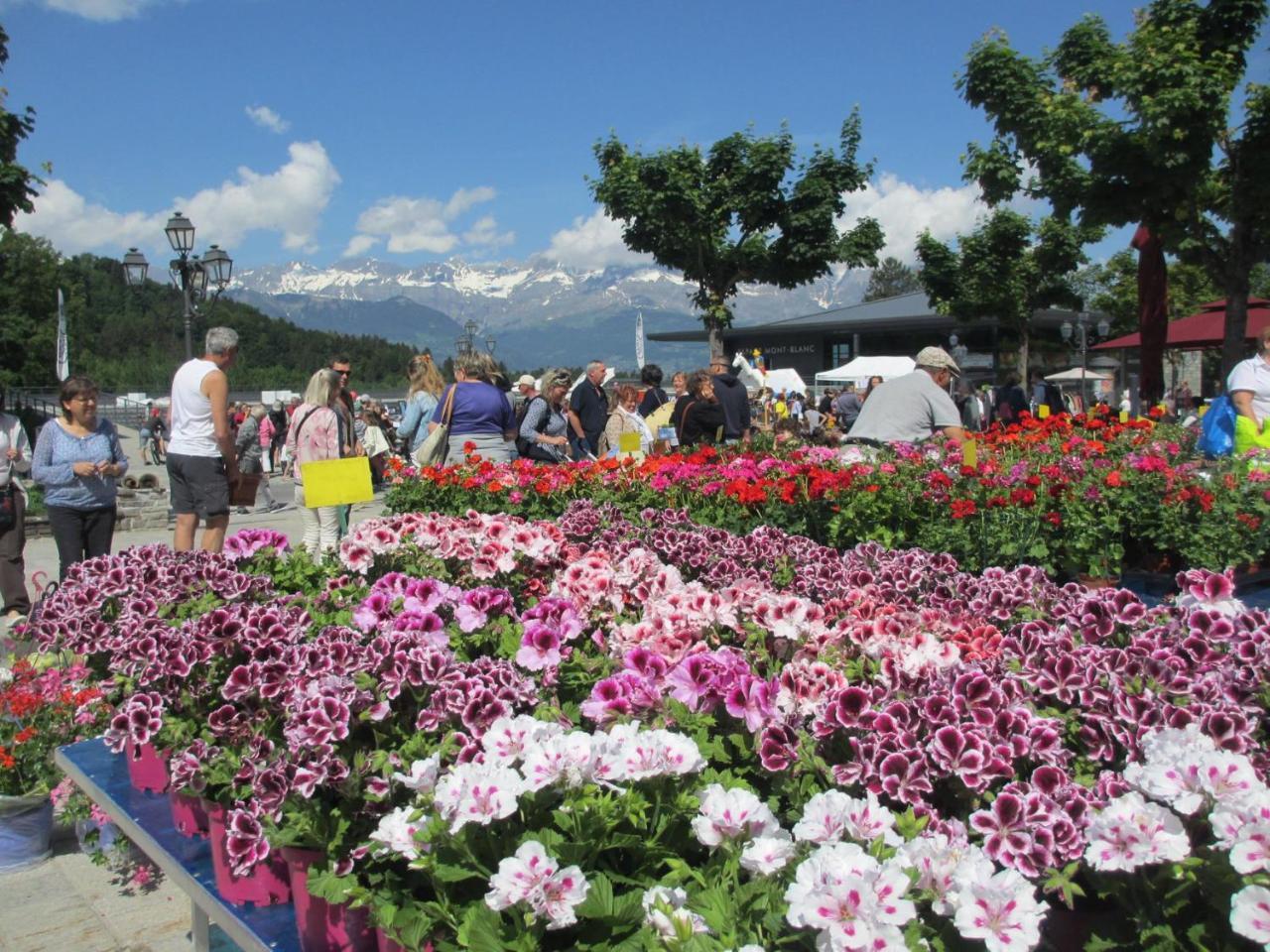 Le Grand Panorama No11 Lägenhet Saint-Gervais-les-Bains Exteriör bild